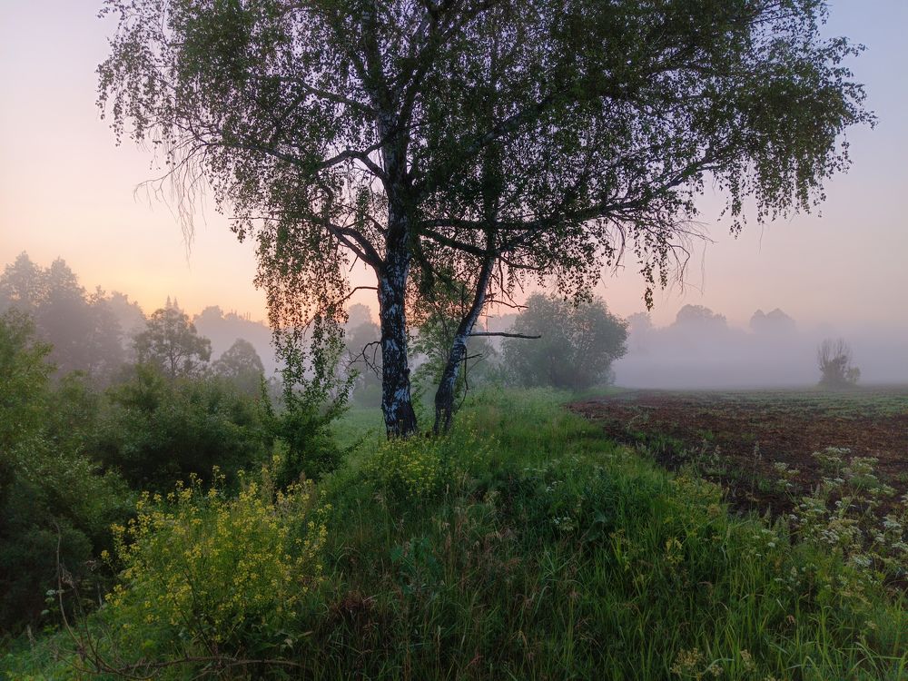 Photo 2433620