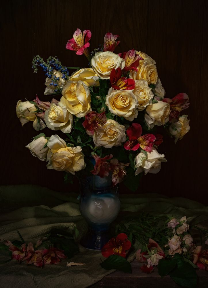 Photo 2434092