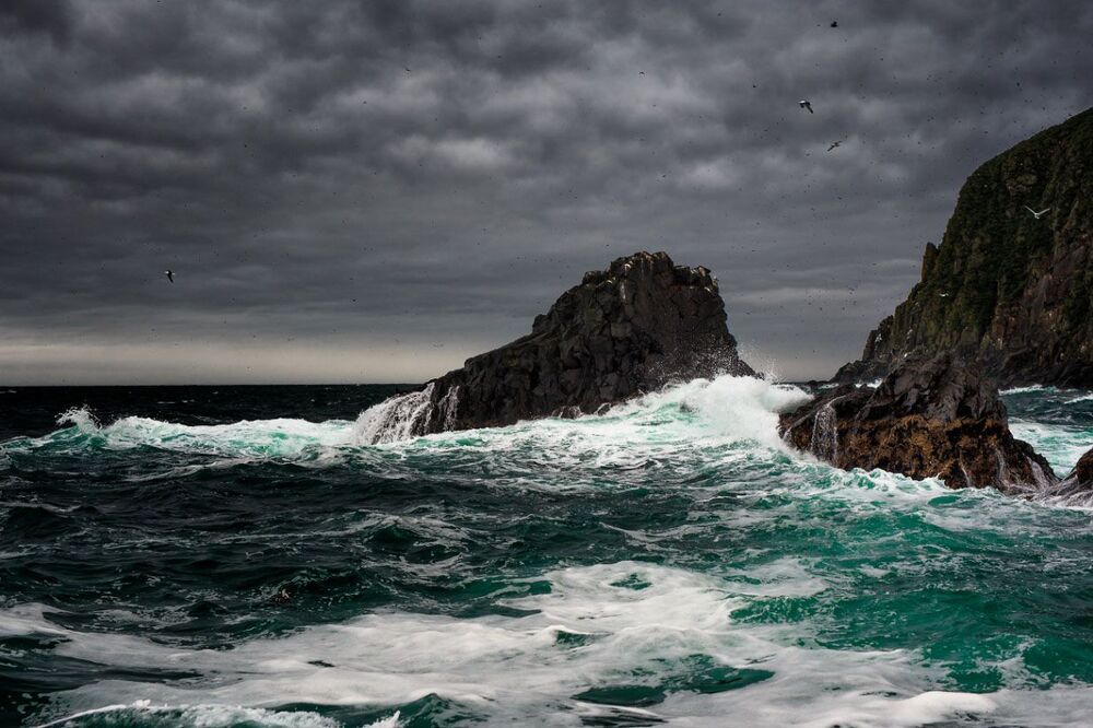Photo 2434468