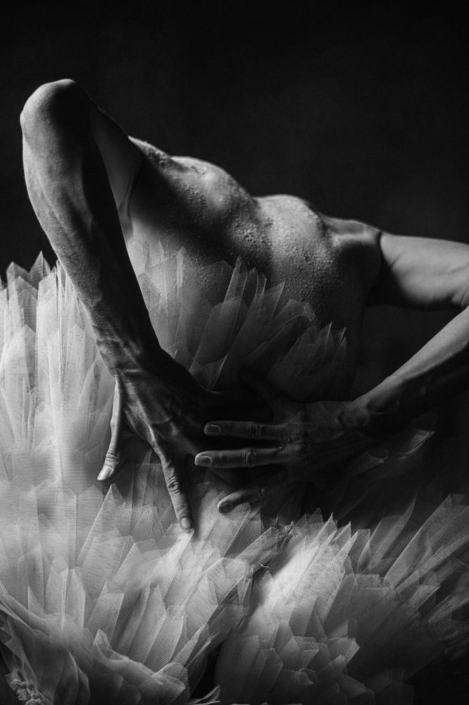 Photo 2434673