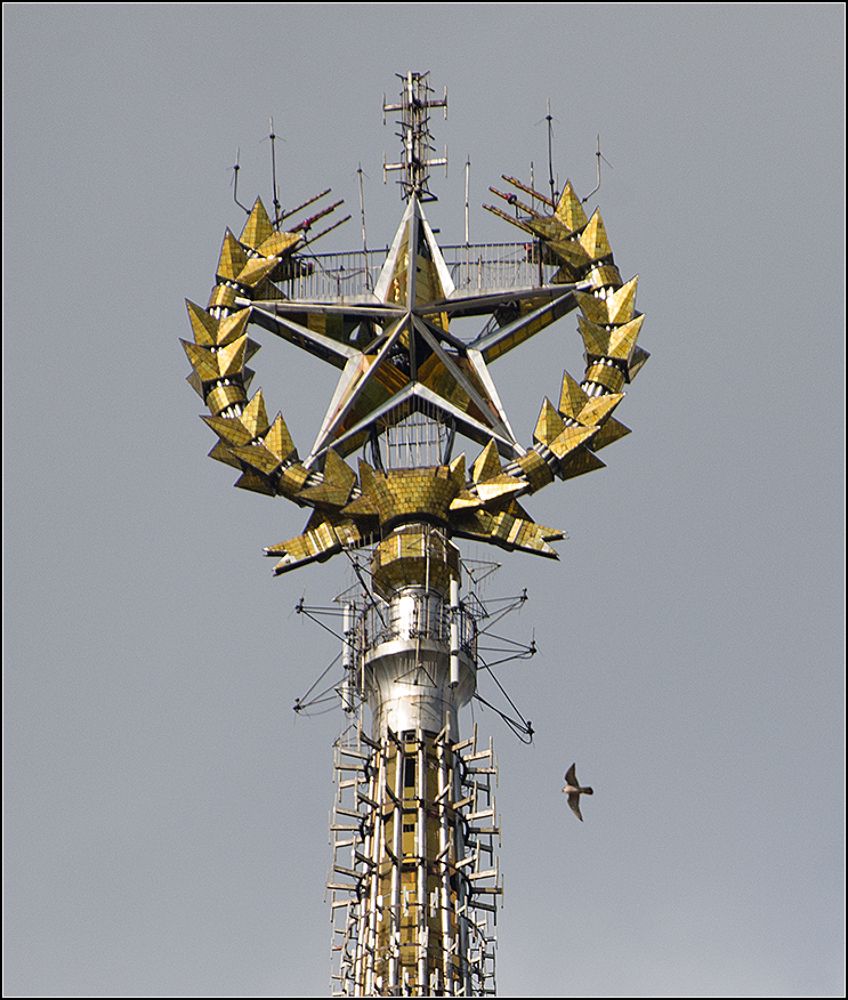 Сапсаны
