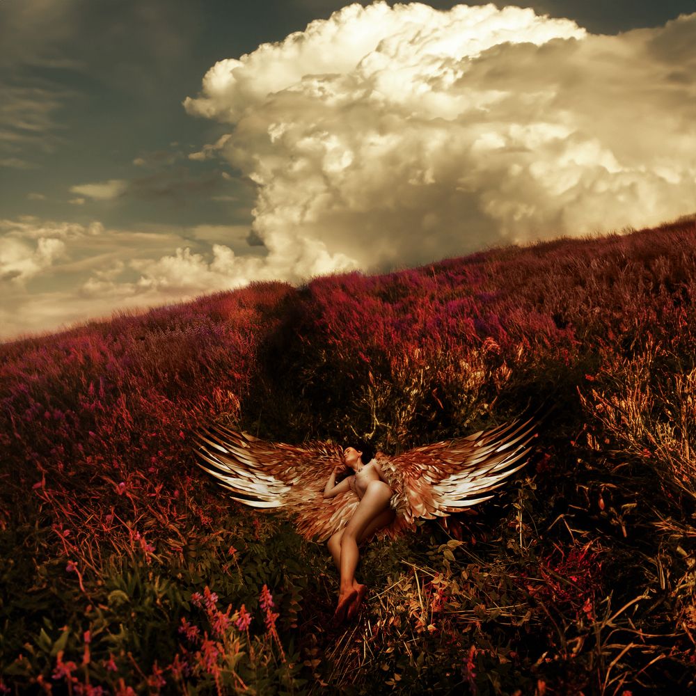 Angel