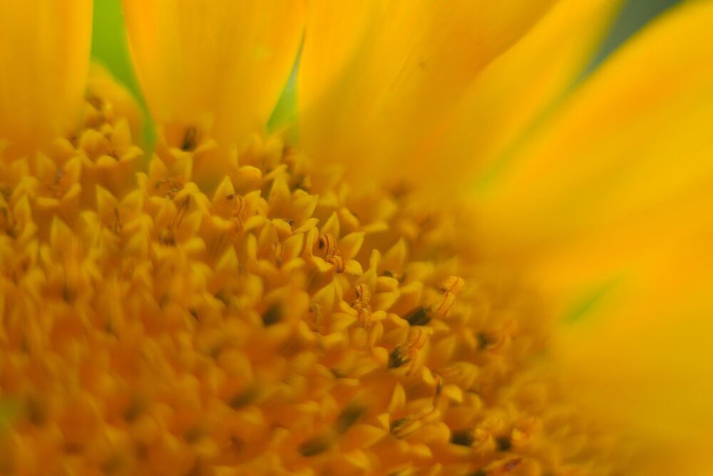 Photo 2436242