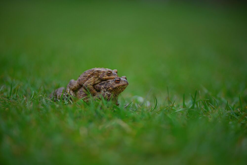 Photo 2436246