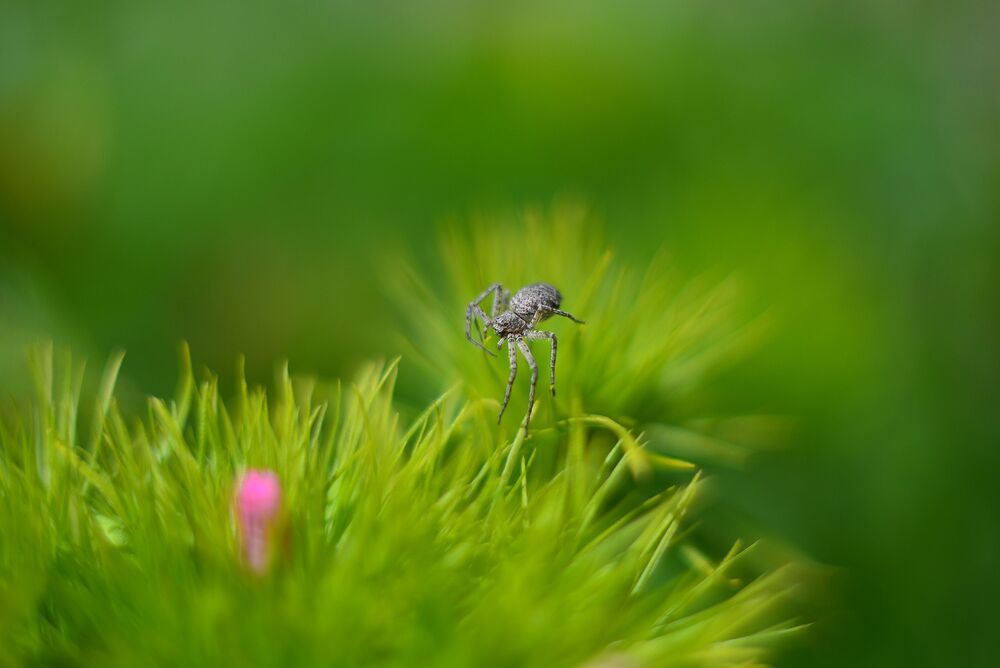Photo 2436248