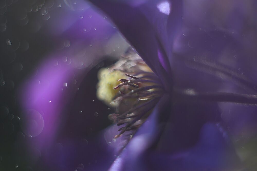 Photo 2436251