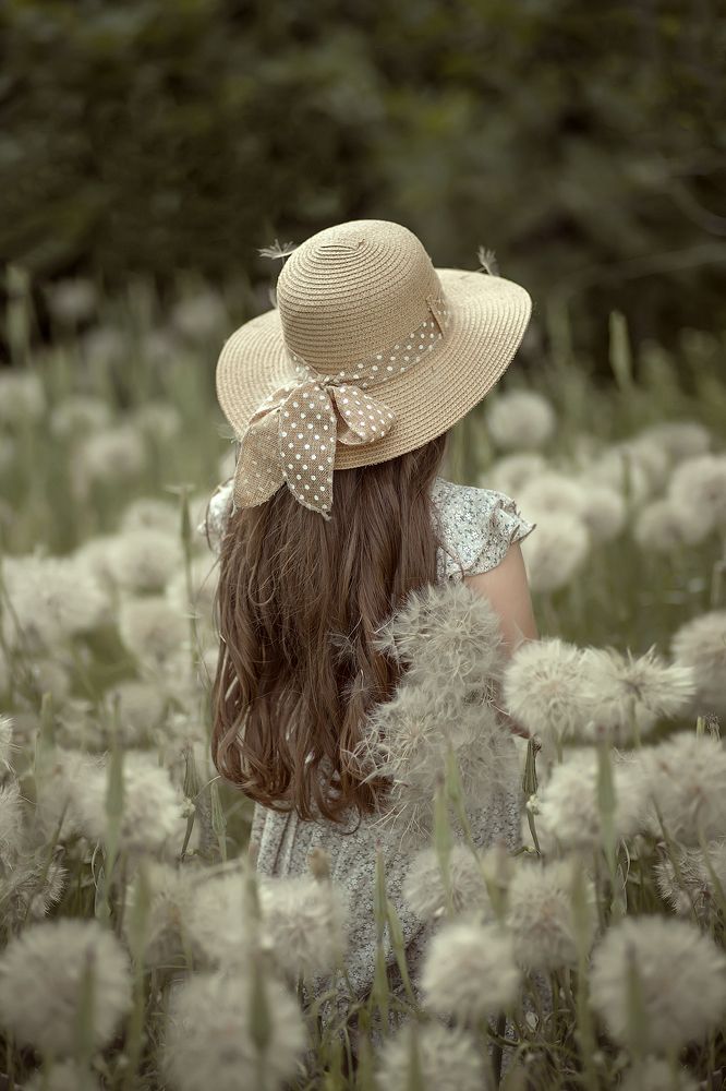 "Dandelions"