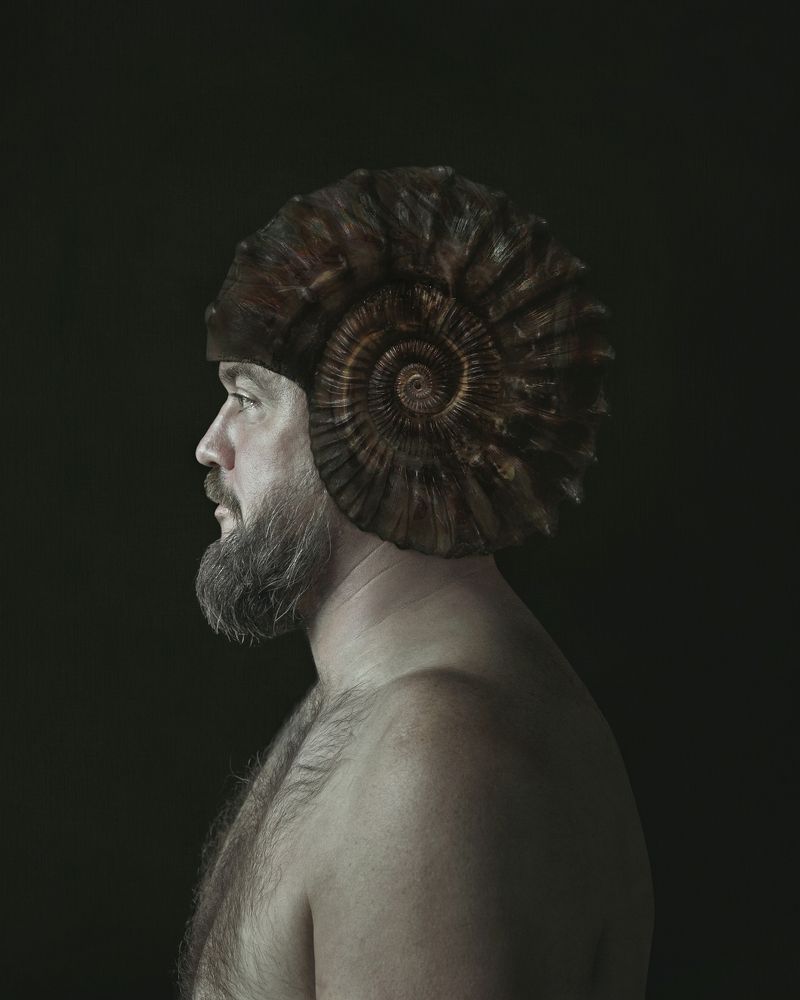 From the genus Ammonites