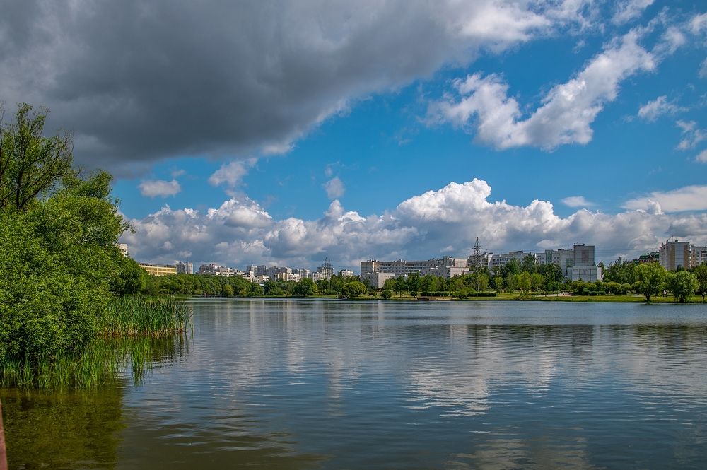 Первое июля в парке