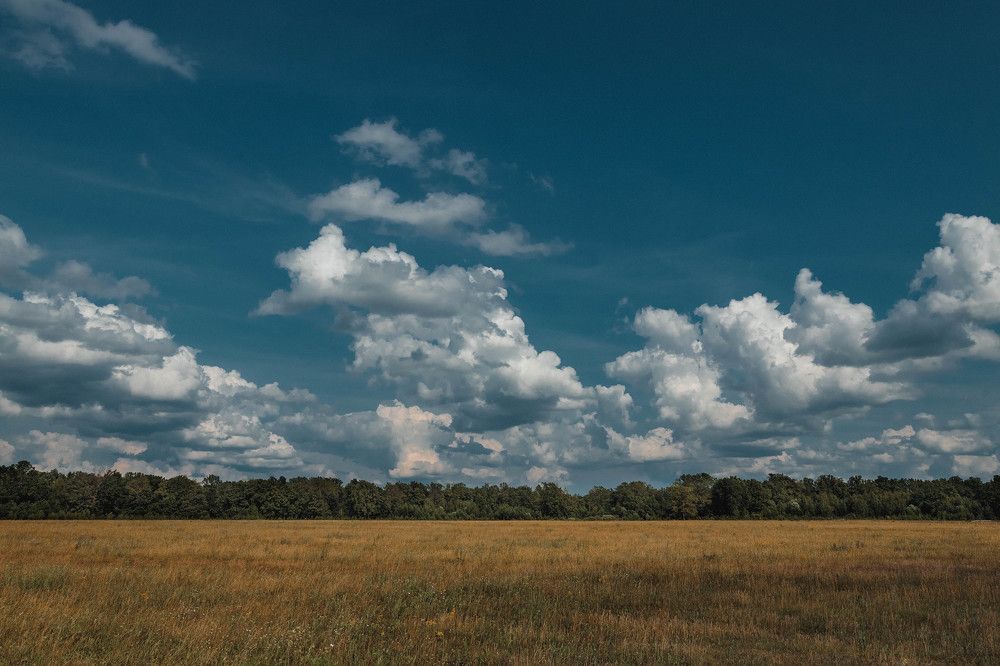 Природа Кулебакского края