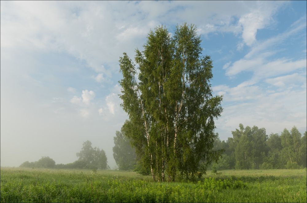 Туман рассеивается