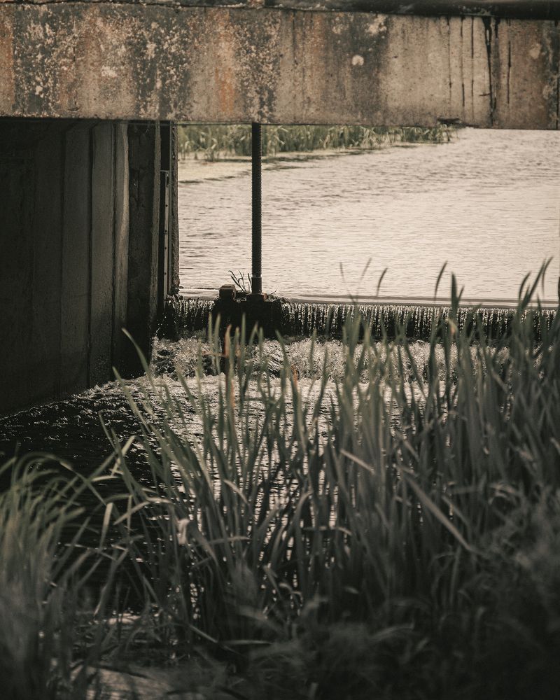 Green tranquility