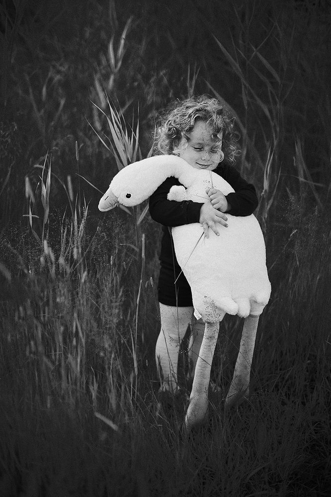 Photo 2439461