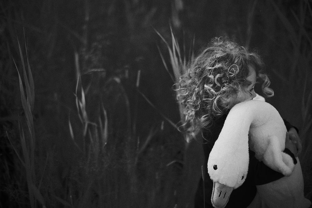 Photo 2439466