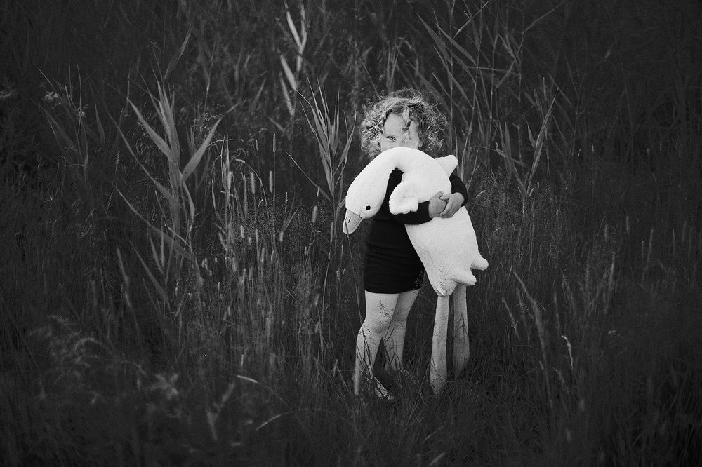 Photo 2439467