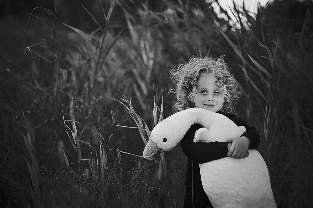 Photo 2439468