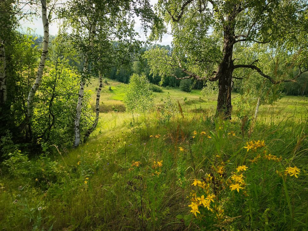 Photo 2439788
