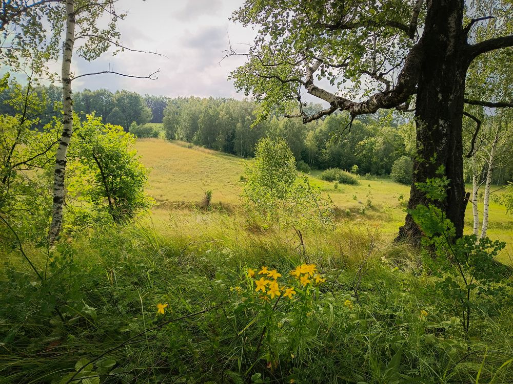 Photo 2439789