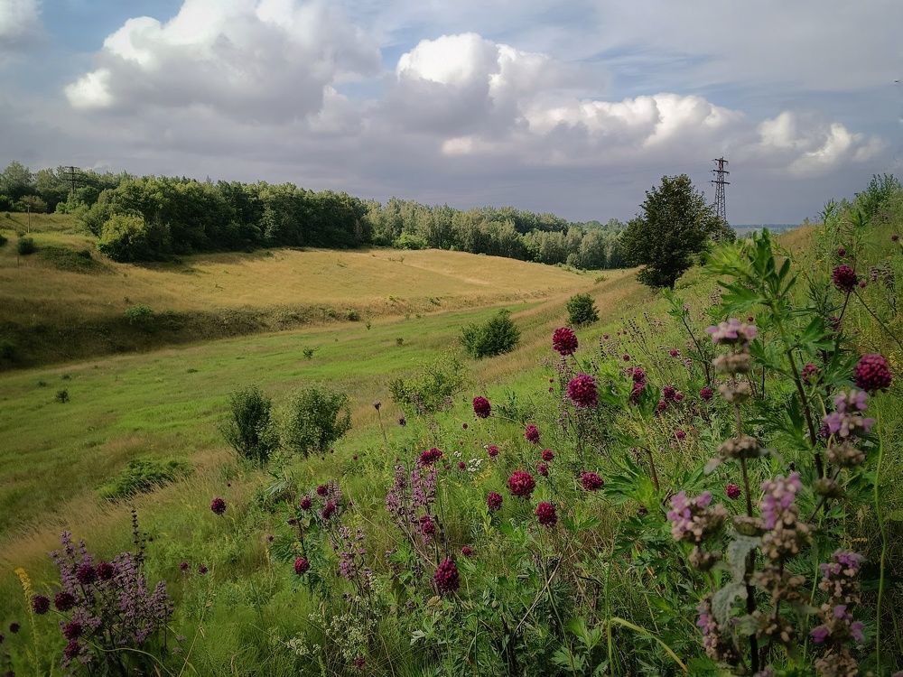 Photo 2439790
