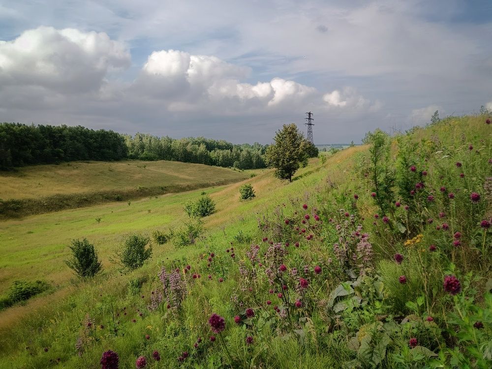 Photo 2439791