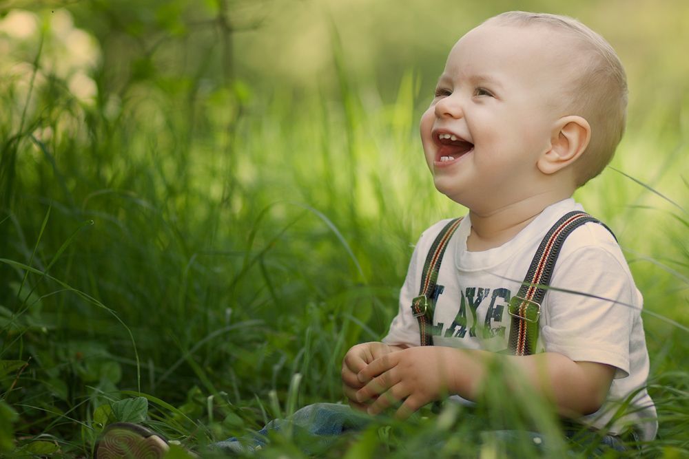 Photo 244752