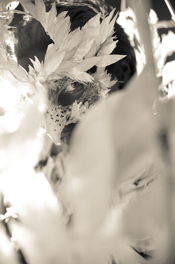 Photo 244932