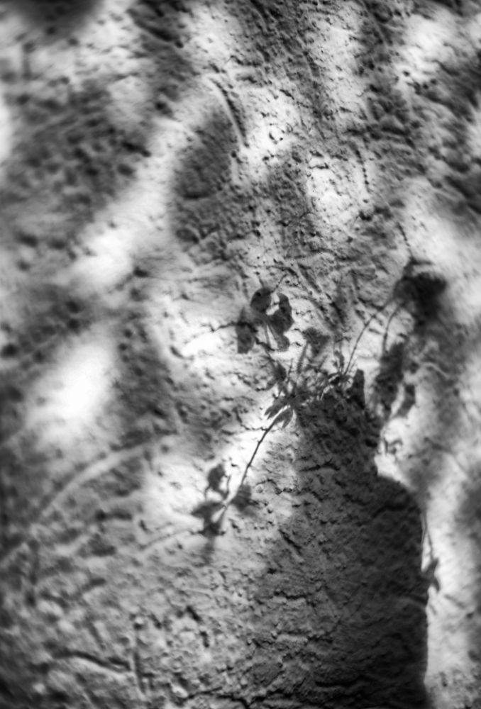 Photo 2442244