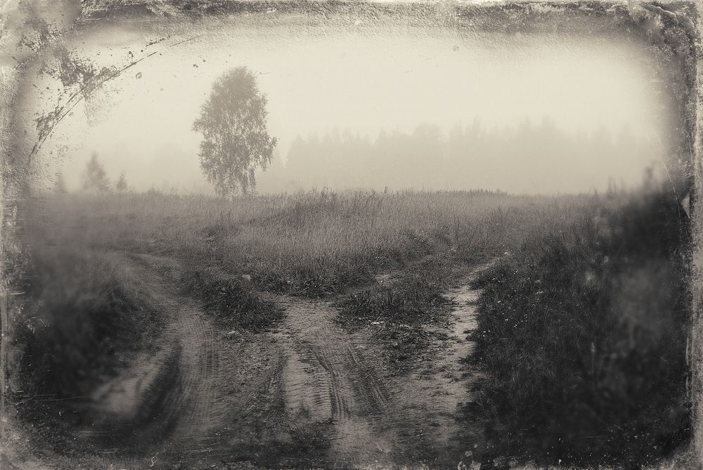 Photo 2442264