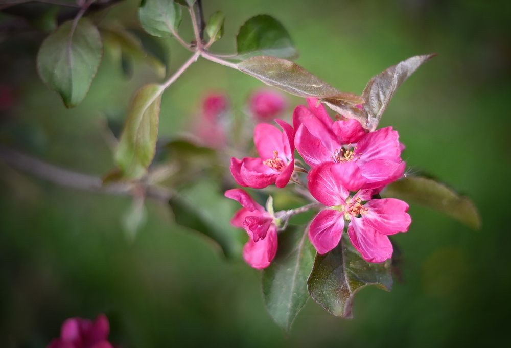 Photo 2442497