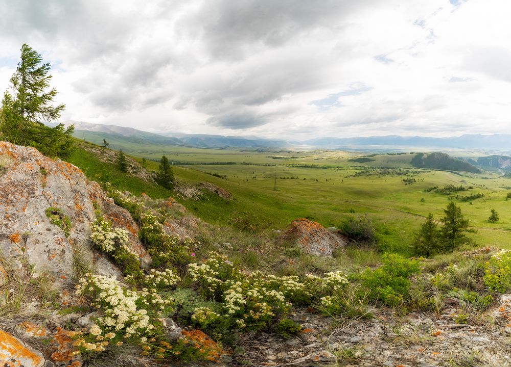 Photo 2442765