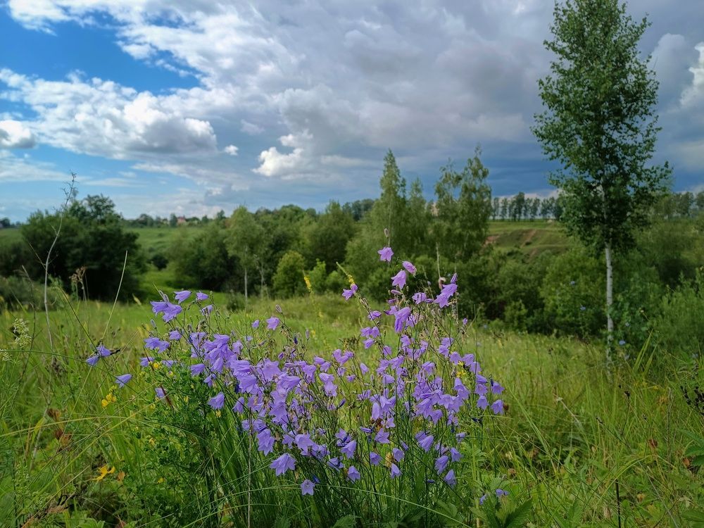 Photo 2442807