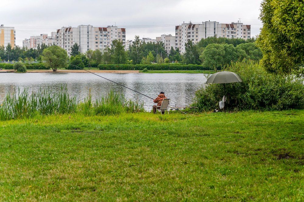На июльском пруду