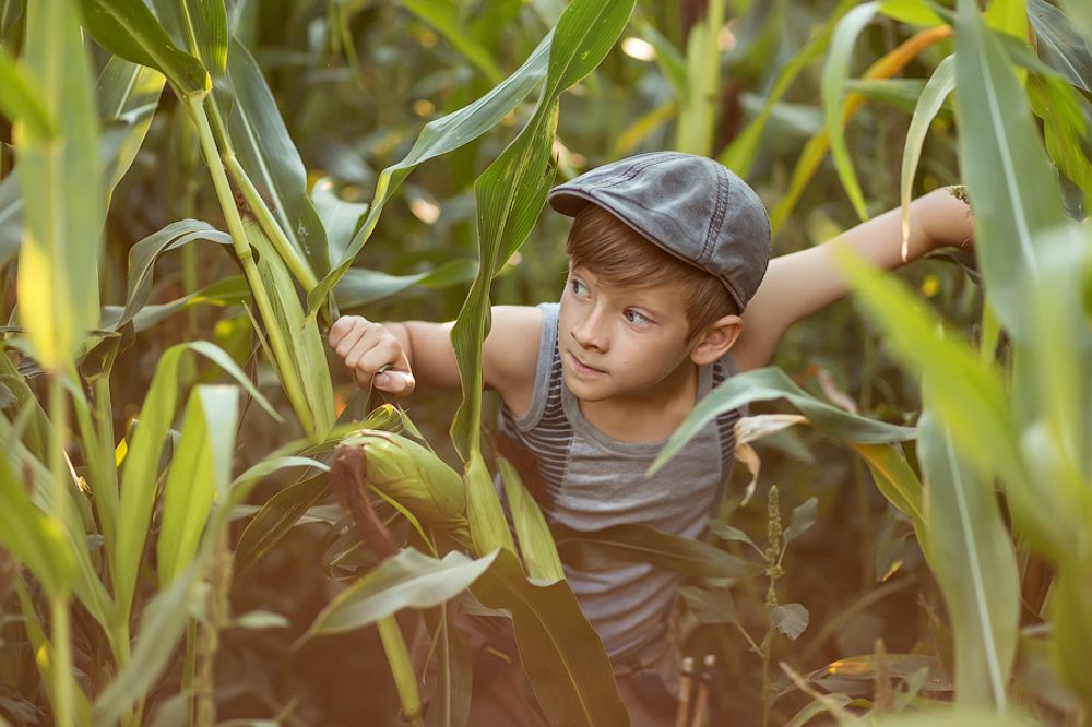 "Corn Hooligan"