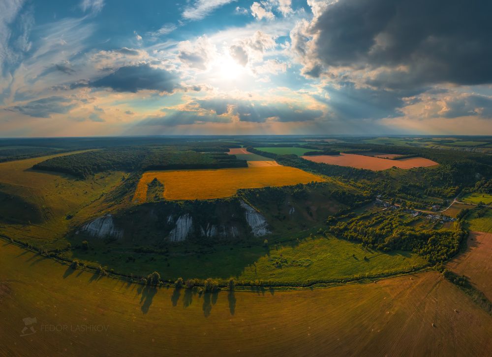 Подсолнечные поля в Корочанском районе