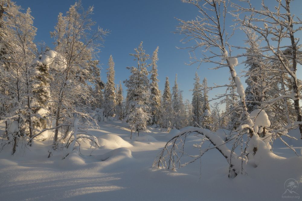 Кольский