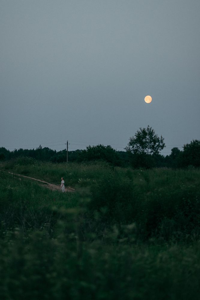 Летняя ночь и полная Луна