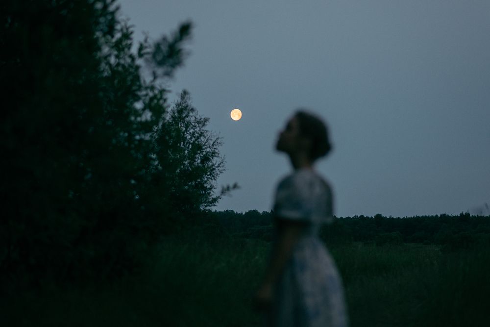 Летняя ночь и полная Луна