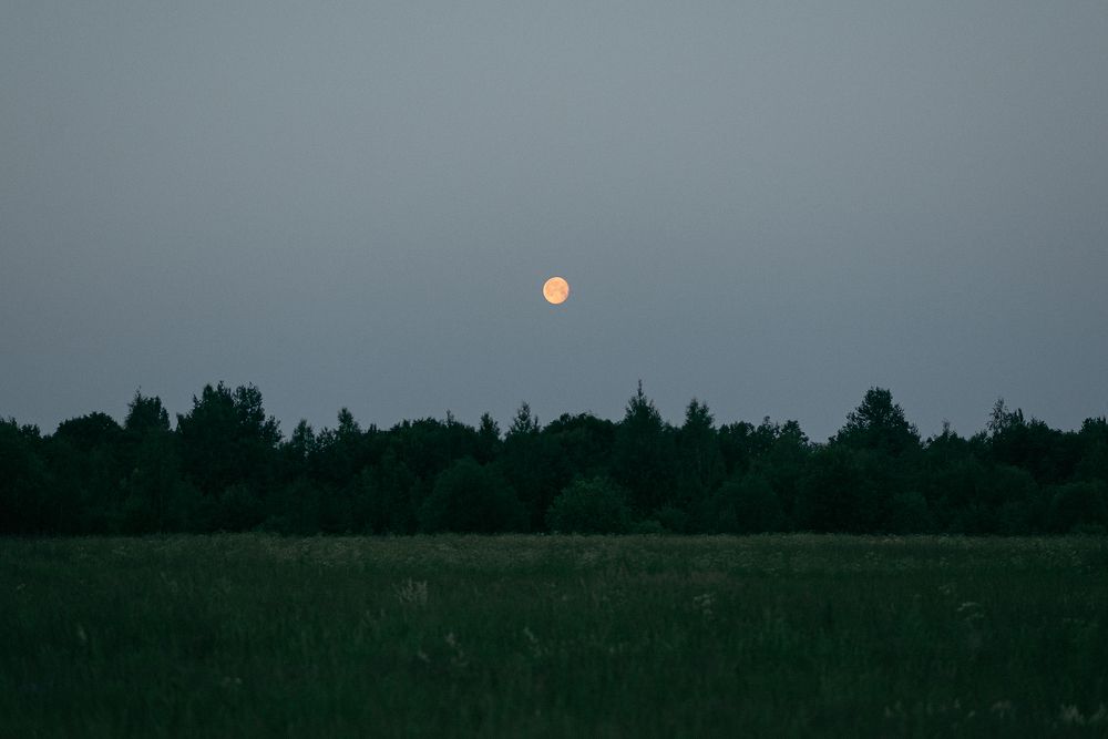 Летняя ночь и полная Луна