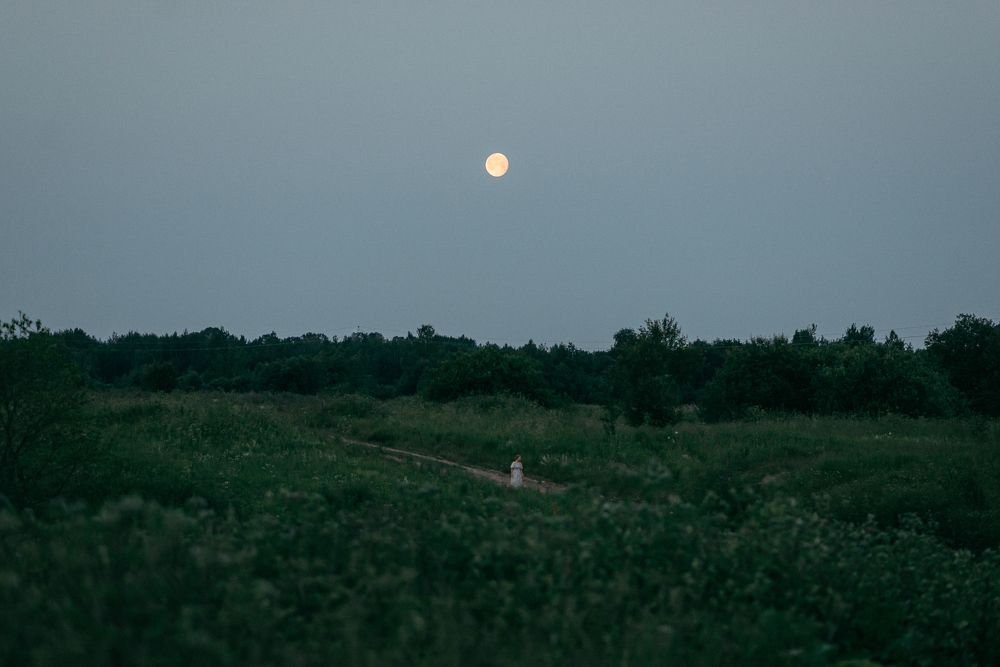 Летняя ночь и полная Луна