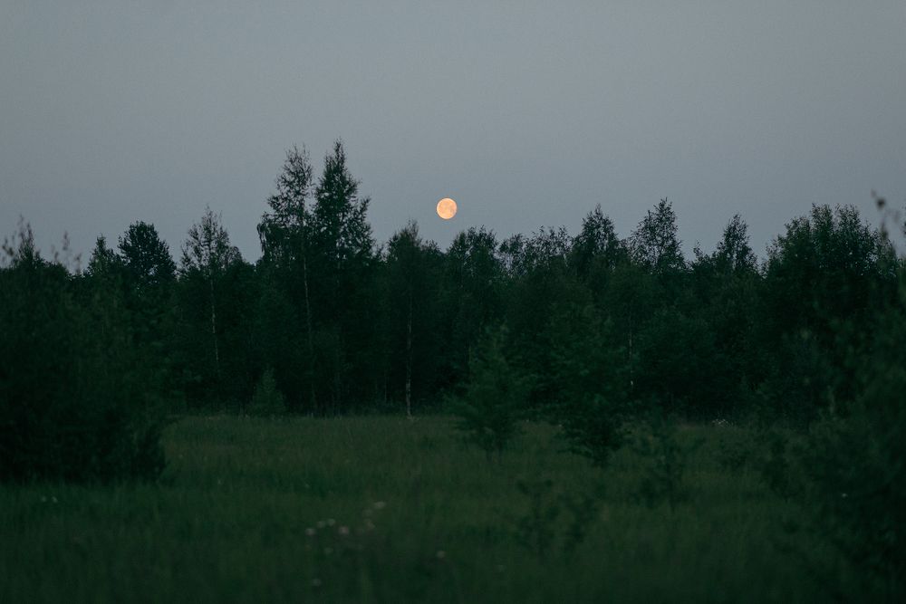 Летняя ночь и полная Луна