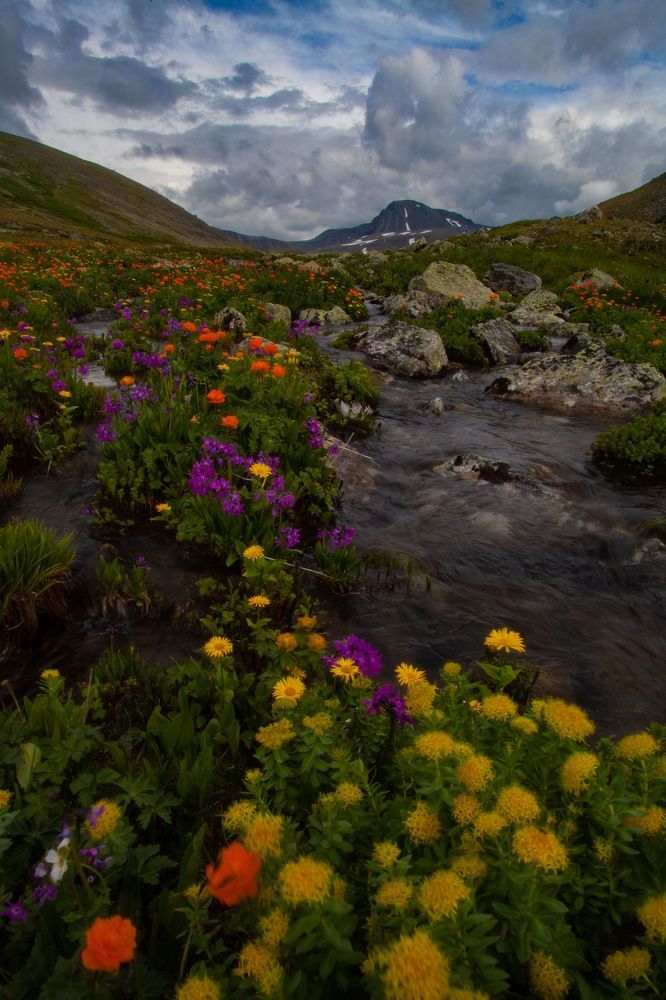 Photo 2444629