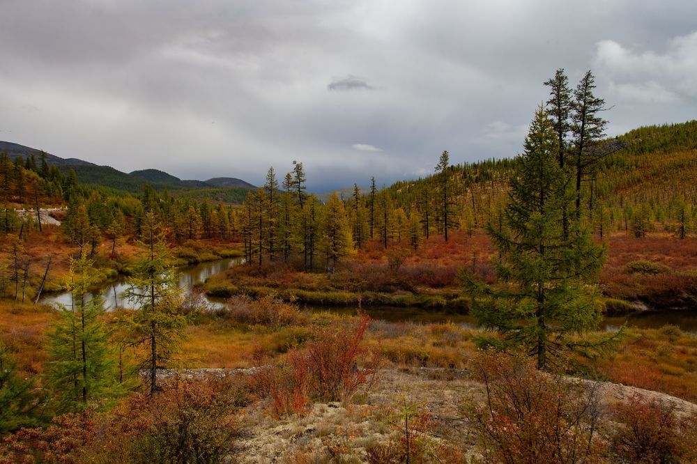 Photo 2444636
