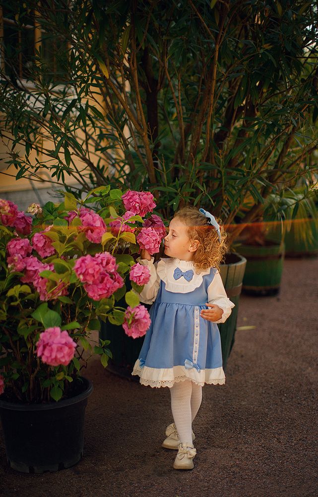 Photo 2444712