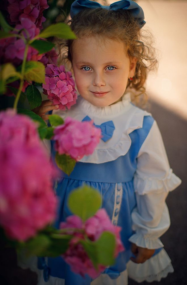 Photo 2444713