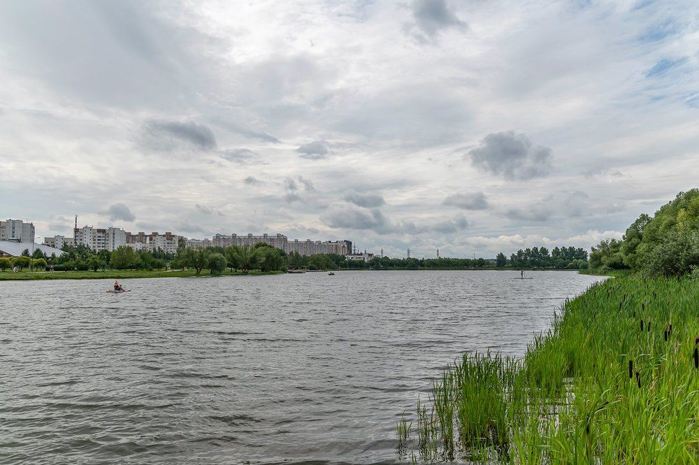 На городском пруду