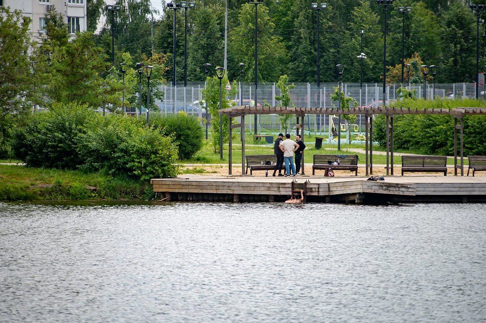 На городском пруду