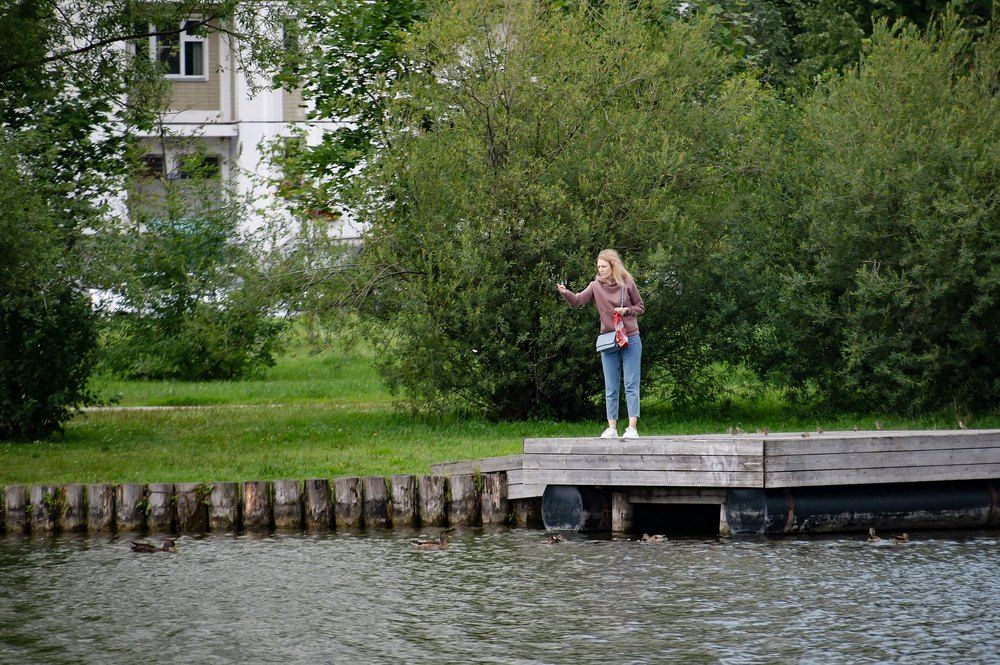 На берегу городского пруда