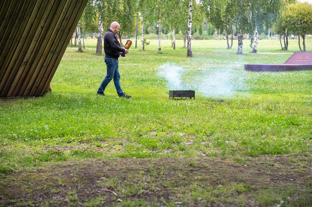 На берегу городского пруда