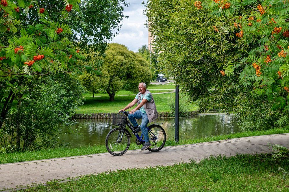 На берегу городского пруда
