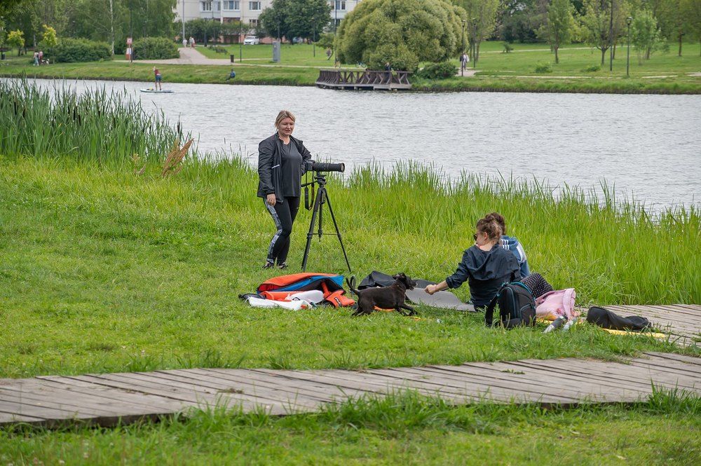 На берегу городского пруда